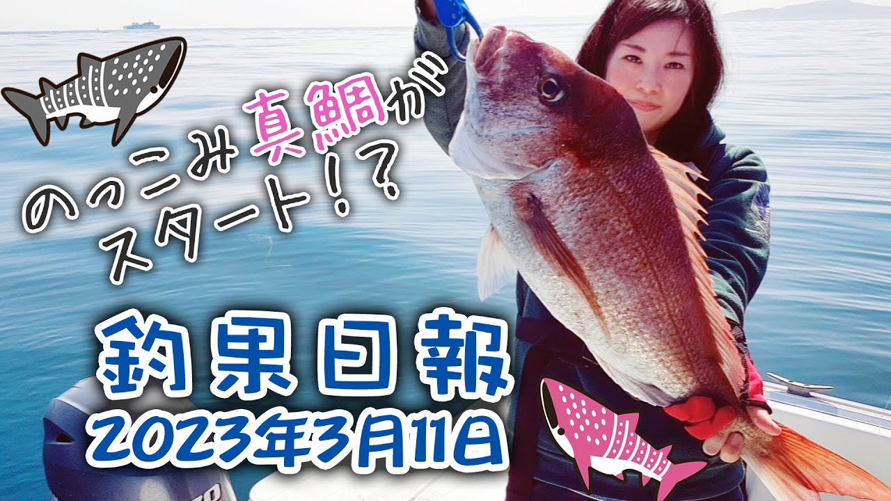 伊勢湾船釣り【のっこみ真鯛】2023年3月釣果日報 - YouTube