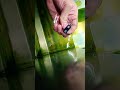 Spectacular Chain in Bicycle How we gonna do #shorts #asmrsounds #machinelearning #cncmachining