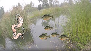 Finding Hidden Spots To Fish In San Diego!!