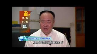 20171030--20171105  生肖運勢 馬 羊 猴