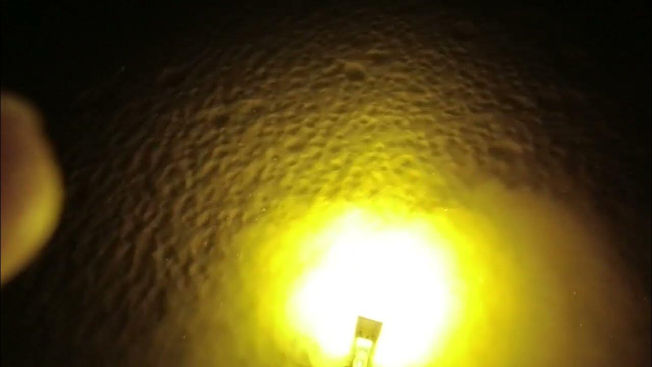 Flounder Gigging Ms Gulf Coast 2022 YouTube