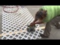 Cutting lattice