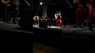Jazz Manouche Raphael Lopez Trio invite Rares Morarescu @ Versailles Jazz Festival