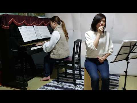 【Aimer 蝶々結び】ピアノと歌で演奏してみた