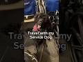Travel with my gluten detection service dog - where does she sit?