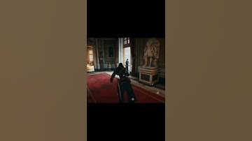 He was floating #bug | Assassin Creed Unity #acunity