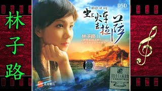 我是一个被爱伤过的人 - 林子路 - Lin Zi Lu
