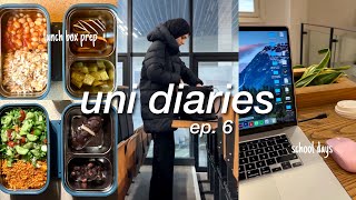 📚 UNI VLOG: engineering student diaries, lunch box prep, morning routine, unboxing, final semester🖇️