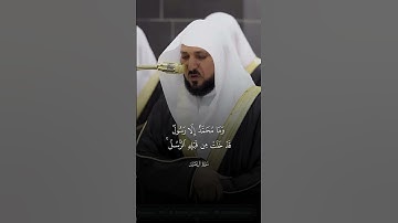 سورة ال عمران | ماهر المعيقلي