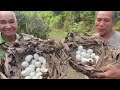 Duck eggs (almost hatch) | Horror Asian Cuisine