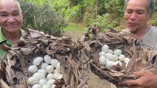 Eat Duck eggs (almost hatch)
