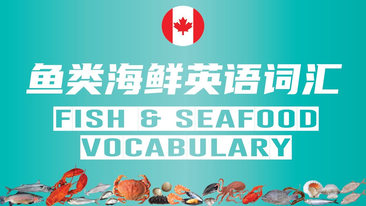 Learn Fish And Seafood Vocabulary In English 鱼类海鲜英文词汇 Youtube