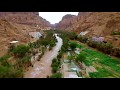 أبو بكر سالم - طاب الهناء - مناظر من وادي دوعن ( حضرموت )