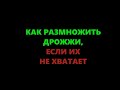 Как размножить дрожжи (спиртовые, винные, обычные)