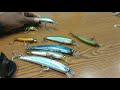 My history with Yo-Zuri lures