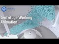 Centrifuge working animation  centrifuge