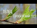 Телец. Май 2021. Астрологический прогноз