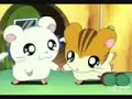 Introducción de Hamtaro al revés.3gp