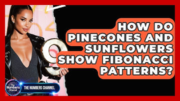 How Do Pinecones And Sunflowers Show Fibonacci Patterns? - The Numbers Channel