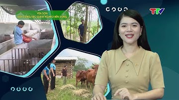 YÊN SƠN VỚI CÔNG TÁC GIẢM NGHÈO BỀN VỮNG (23-10-2024)