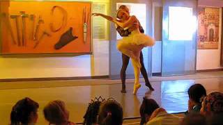 Swan lake Islamic Museum