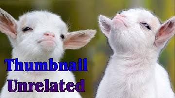 How Far Into MTG Are You? Take This Quiz and Find Out