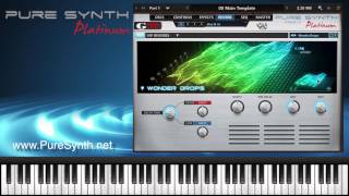 Pure Synth Platinum Overview - Urban Workstation screenshot 2