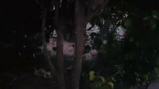 #vlog #capture # children hospital 🏥 Mn  ne Dhod nikala 🐮🐄🐄🐄
