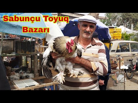 Sabunçu Toyuq Bazarı 0557848534 050 798 11 33  051 699 11 66