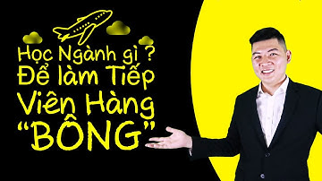 Tiếp Viên Hàng Không thì học ngành gì ? - Học ngành gì để làm Tiếp Viên Hàng Không