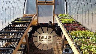 When using a small greenhouse, you need to make use of every square
foot. we're going modify and reuse something we already have laying
around. also ge...