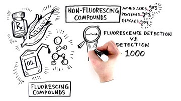Fluorescence Detection for HPLC