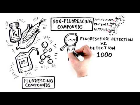 Fluorescence Detection for HPLC