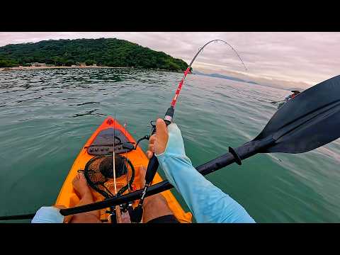 Great fish for fighting and great for eating!!! Kayak fishing on the coast and inland sea of ​​Gu...