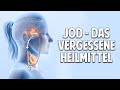 Jod - Das vergessene Heilmittel: Alles was Du über Jodmangel wissen musst! - Kyra Kauffmann