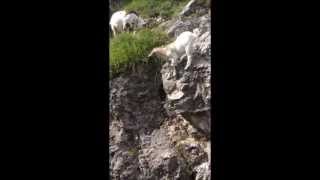 Travelblog 2013 Thomas Kramer Hiking The Dolomites