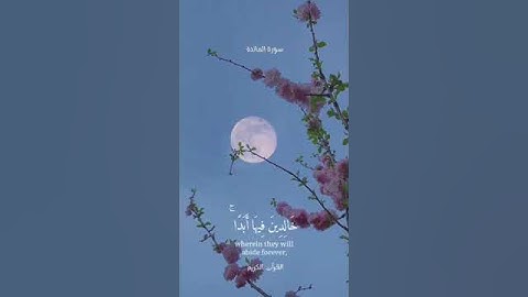 القارئ محمد أيوب || قال الله هذا يوم ينفع الصادقين..||سورة المائدة