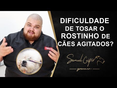 DIFICULDADE DE TOSAR O ROSTINHO DE CÃES AGITADOS? - SAMUEL CASTRO