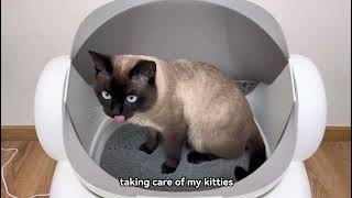 The Benefits Of Using A Smart Litter Box - Neakasa M1