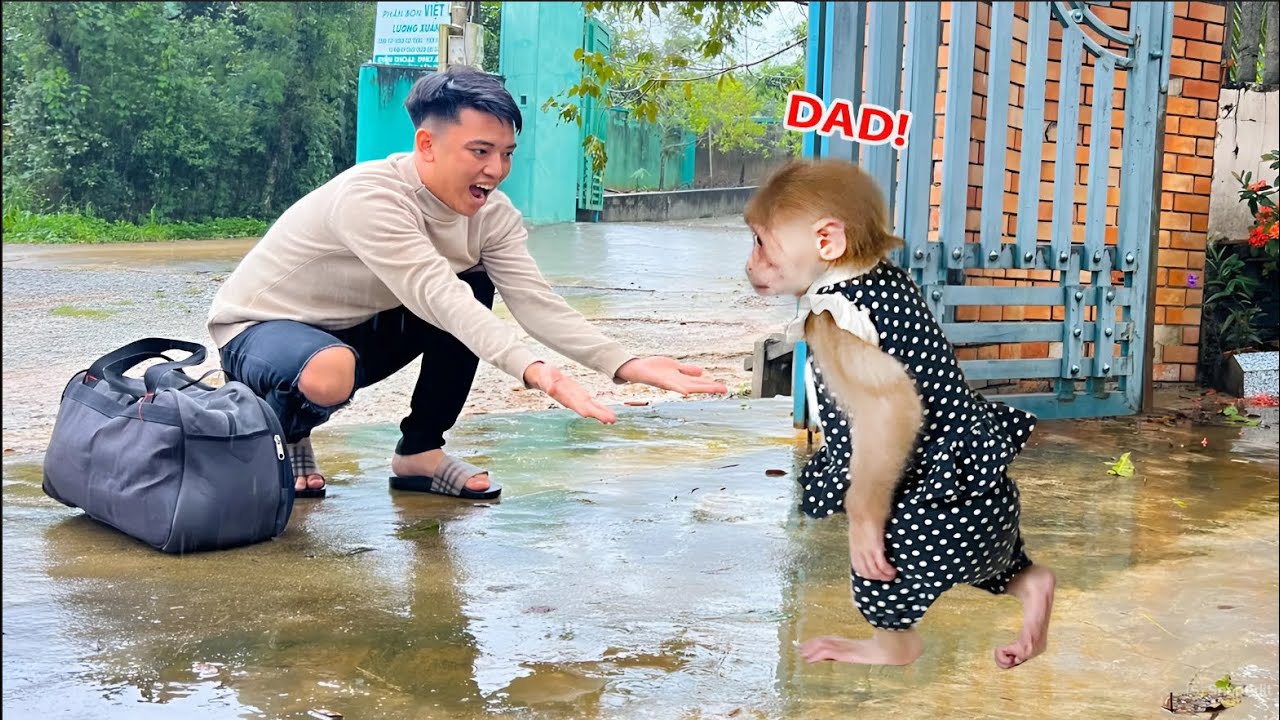 So cute!Luk is happy when Thang come back