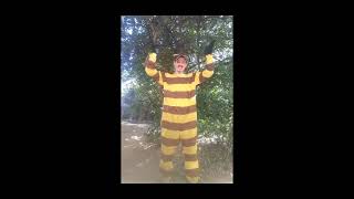 Zango  T Na Hora Do Papa  Bolofofos  Trend