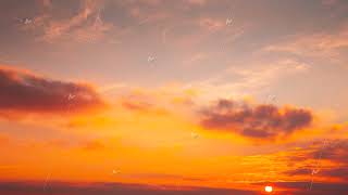 From Night To Dawn. Sunlight Shining Through Clouds. 4k Morning Sunrise Timelapse. Dramatic Sky