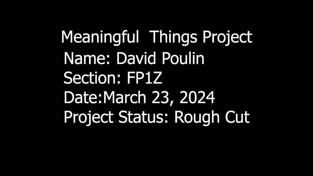 David Poulin - Meaningful Things (Rough Cut)
