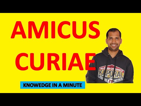 AMICUS CURIAE | Knowledge in a Minute | One Minute Video to Know a Concept