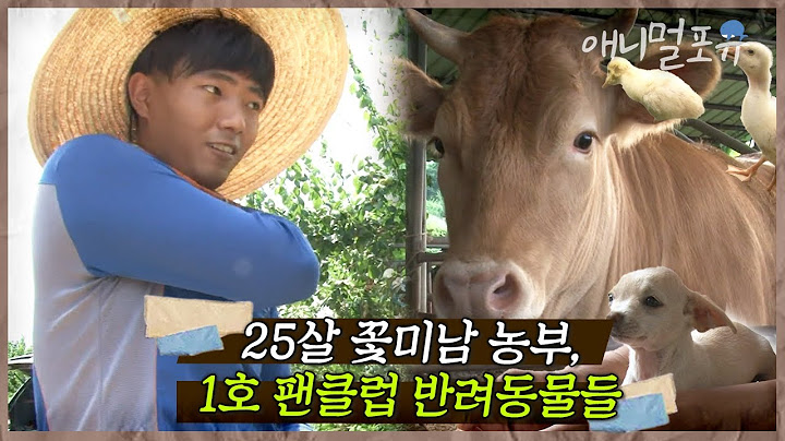 [풀버전] 시골에서 9000평 밭 가는 꽃미남 농부와 미모에 반한 황소떼들과 강아지 I 꽃보다 병수 I KBS 인간극장 2015 방송