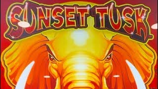 Absolutely HUGE win on Sunset Tusk slot machine bonus screenshot 3