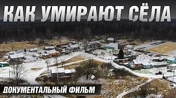Сколько сел деревень и городов в России