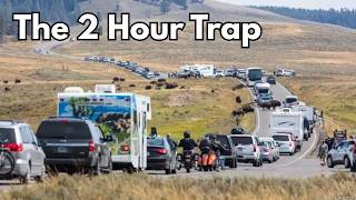 Do NOT Drive Through Yellowstone Without Knowing This!