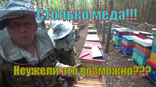 УРОЖАЙ МЁДА УДАЛСЯ НА СЛАВУ!!! ТАКОГО НЕ ПРИПОМНЮ!!!