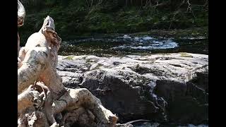 Chioma - Moving Images - Walks and Waterfalls screenshot 1